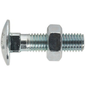 50 PACK Zinc Plated Coach Bolt and Nut - M10 x 40mm - 1.5mm Pitch - DIN 603