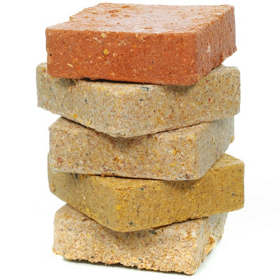 50 x SQUAWK Mixed Suet Fat Blocks - High Energy Wild Bird Food Garden Birds Protein Treats