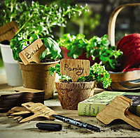 50 x Wooden Label Signs & Pen - Perfect for Labelling Plants in Greenhouses, Herb Gardens & Pots or for Buffet Food - H10 x W6cm