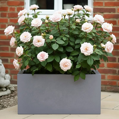 Idealist™ 65Cm Trough Garden PlanterGrey Reinforced Stone Rectangular PlanterOutdoor Large Plant Pot H30 L65 W19 Cm37L from B&Q