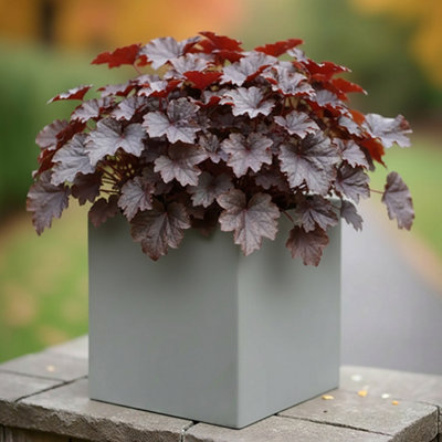 B&Q -  25Cm PlanterGrey Reinforced Stone Square Garden Flower BoxOutdoor Plant Pot