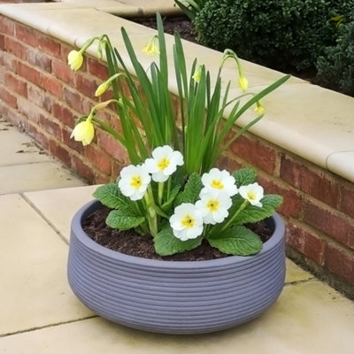 Idealist™ 12 Inch Bowl Planter Large Bonsai PotRibbed Grey Reinforced Stone Garden Shallow PlanterOutdoor Plant Pot D31 H12 Cm from B&Q
