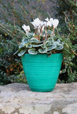  - Recycled Plastic Planter Pot8" Savannah Forest Green