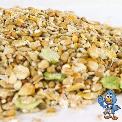 500g BusyBeaks Duck & Goose Mix - Natural Healthy Diet Feed For Wildlife Bird Food