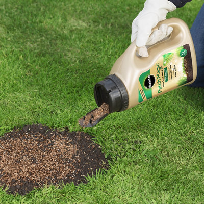 Shop lawn feed.