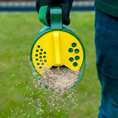 Spreading lawn seed with a lawn spreader