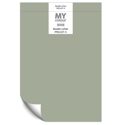 Johnstone's My Colour Durable Matt Paint Boulder LichenPeel And Stick Sample from B&Q