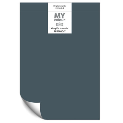 Johnstone's My Colour Durable Matt Paint Wing CommanderPeel And Stick Sample from B&Q
