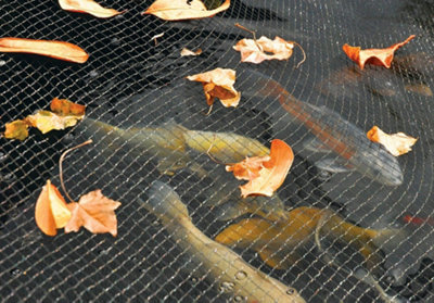 1731 Hozelock Pond Cover Net (3M X 4M) from B&Q