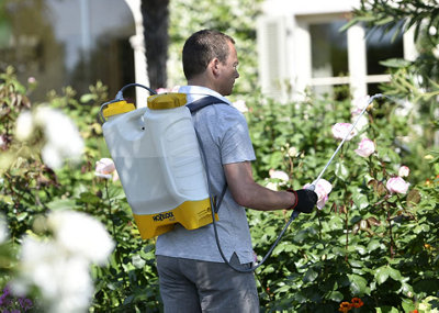 FixTheBog Hozelock Pulsar Comfort 16L Knapsack Pressure Sprayer Plus 4716 from B&Q