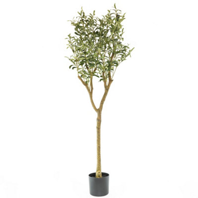 Candlelight Green 150Cm Olive Tree Artificial Plant In Black Mediterranean Plastic Pot from B&Q