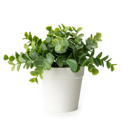 Candlelight White & Green 17Cm Eucalyptus Artificial Plant In White Plastic Pot from B&Q