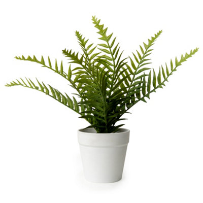 Candlelight White & Green 26Cm Fern Artificial Plant In White Plastic Pot from B&Q
