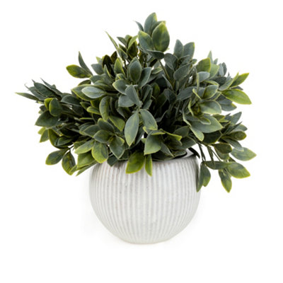 Candlelight Green & Cream 26Cm Fern Artificial Plant In Cream Ceramic Ribbed Pot from B&Q