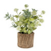 Found it product image.