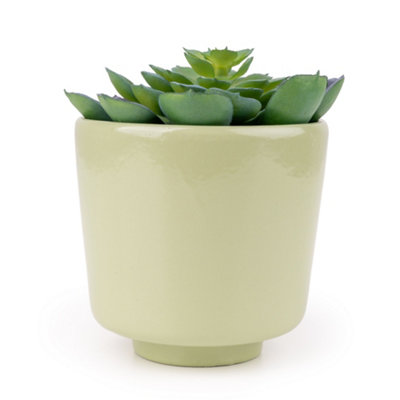 Candlelight Green 9.5Cm Succulent Pot With Artificial Plant In Green Ceramic Pot from B&Q