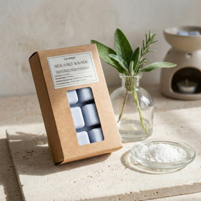 Candlelight Light Blue Plain Sea Salt & Sage Small Wax Melt from B&Q