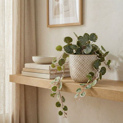 Candlelight Green 43Cm String Of Hearts Pot With Artificial Plant In White Trailing Ceramic Pot from B&Q