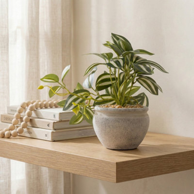 Candlelight Green 17.5Cm Tradescantia Pot With Artificial Plant In White Rustic Cement Pot from B&Q