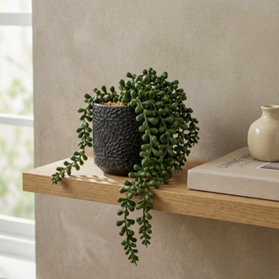 Candlelight Green 11Cm String Of Pearls Pot With Artificial Plant In Black Debossed Ceramic Pot from B&Q