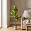 Found it product image.