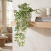 Found it product image.