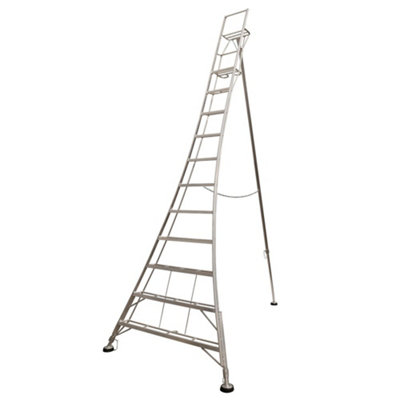 Werner Adjustable Tripod Garden Ladder from B&Q