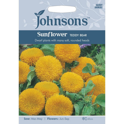 B&Q -  Sunflower Teddy Bear Seeds