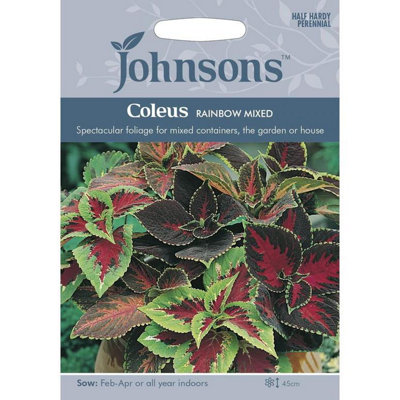Johnsons Coleus Rainbow Mixed Flower Seeds from B&Q