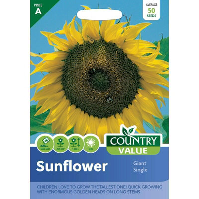 Country Value Sunflower Giant Single Seeds from B&Q