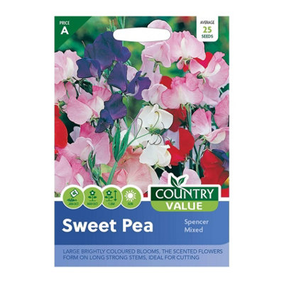Country Value Sweet Pea Spencer Seeds from B&Q