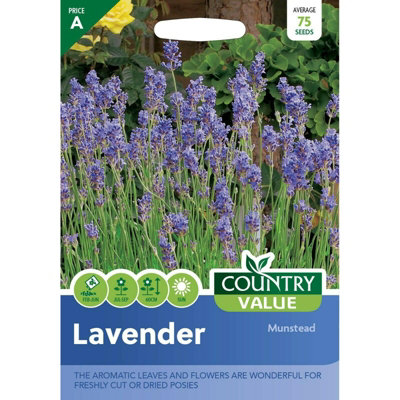Country Value Lavender Munstead Strain Seeds from B&Q