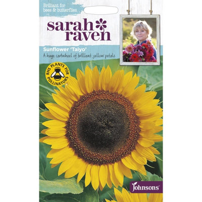 B&Q -  Sarah Raven Sunflower Taiyo Seeds