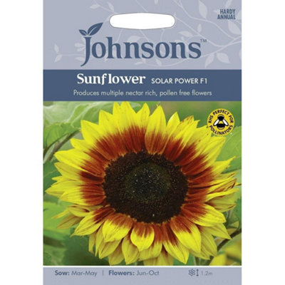 Johnsons Sunflower Solar Power F1 Seeds from B&Q