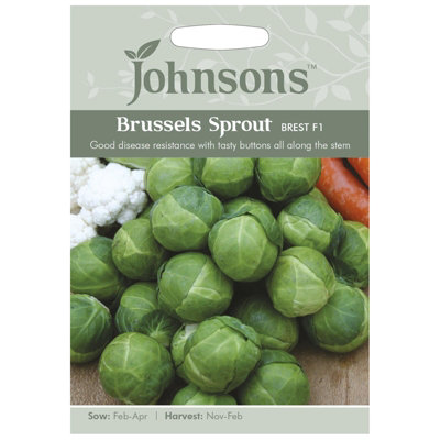 Johnsons Brussels Sprout Brechin F1 Seeds from B&Q