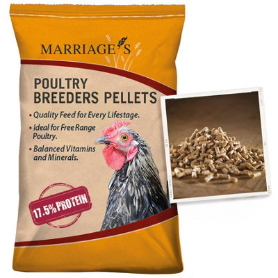 Marriage's Poultry Breeder Pellets 20Kg from B&Q