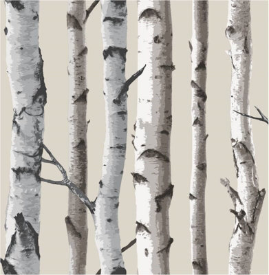 Fine Decor Natural Beige / Cream - Fd31051 - Birch Tree - Forest Woods - Wallpaper - Image 4