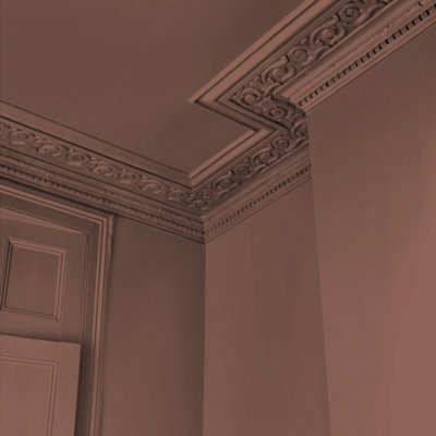 Abigail Ahern Emulsion 2.5LJava from B&Q