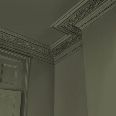Abigail Ahern Emulsion 2.5LSeagrass Meadow from B&Q