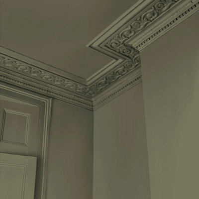 Abigail Ahern Emulsion 2.5LNeptune Grass from B&Q