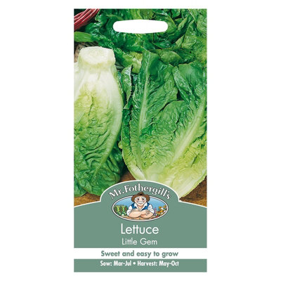 Mr Fothergills Mr. Fothergills Lettuce Little Gem Seeds from B&Q