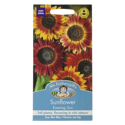 Mr Fothergills Mr. Fothergills Sunflower Evening Sun Seeds from B&Q