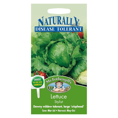 Mr Fothergills Mr. Fothergills Lettuce Stylist Seeds from B&Q
