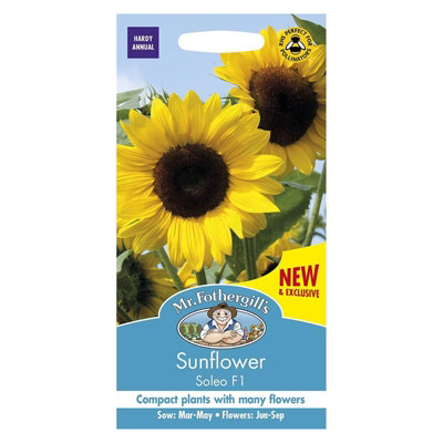 Mr Fothergills Mr. Fothergills Sunflower Soleo F1 Seeds from B&Q