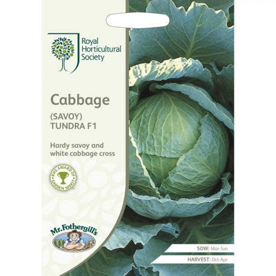 Rhs Cabbage Savoy Tundra F1 Seeds from B&Q