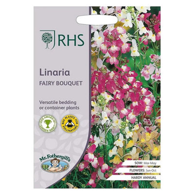 B&Q -  Linaria Fairy Bouquet Flower Seeds