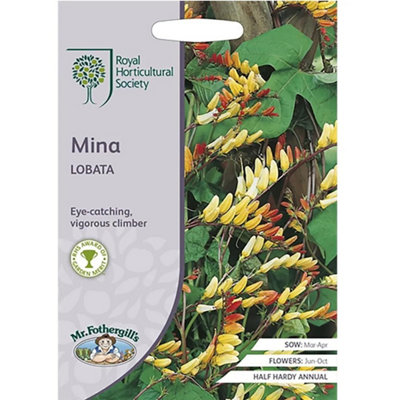 Rhs Mina Lobata Garden Flower Seeds from B&Q