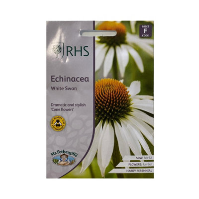 Rhs Echinacea White Swan Flower Seeds from B&Q