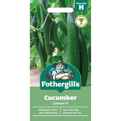 Mr Fothergills Fothergills Premium Cucumber SeedsCarmen F1 from B&Q