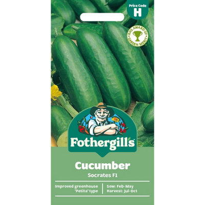 Mr Fothergills Fothergills Premium Cucumber SeedsSocrates F1 from B&Q